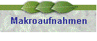 Makroaufnahmen